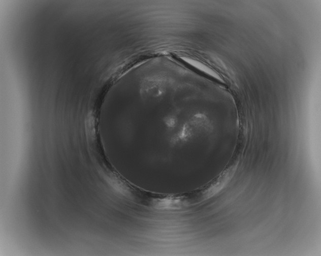 X0000111120366200907141155