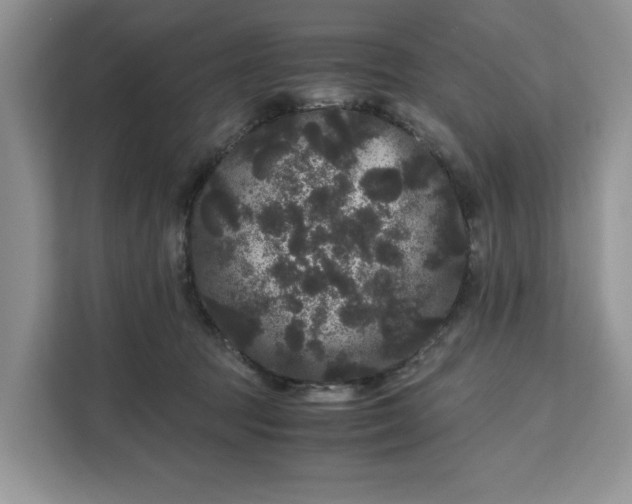 X0000111120369200907141155