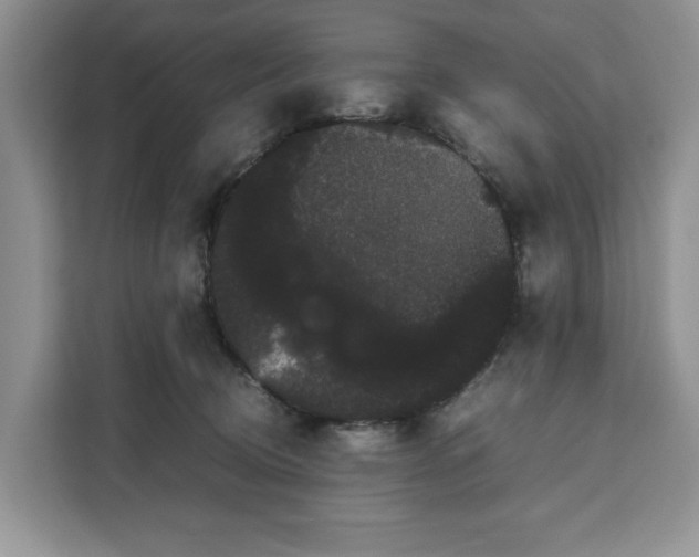 X0000111120370200907141155