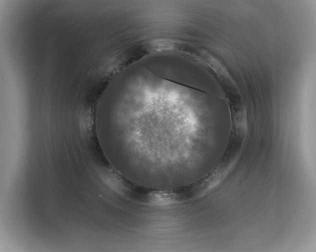 X0000111120372200907141155