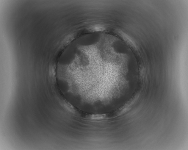 X0000111120373200907141155