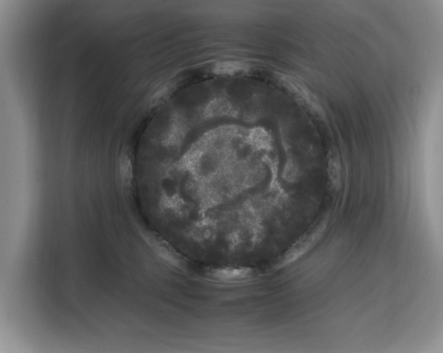 X0000111120375200907141155