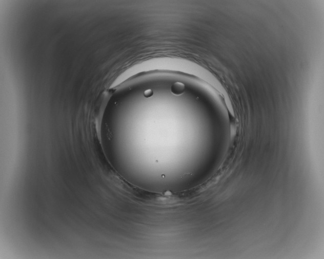 X0000111120376200907141155