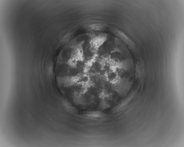 X0000111120377200907141155