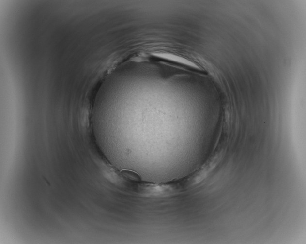 X0000111120379200907141155