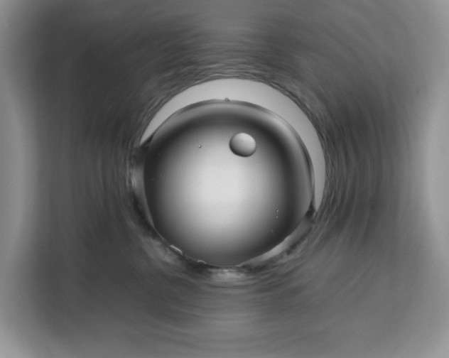 X0000111120380200907141155