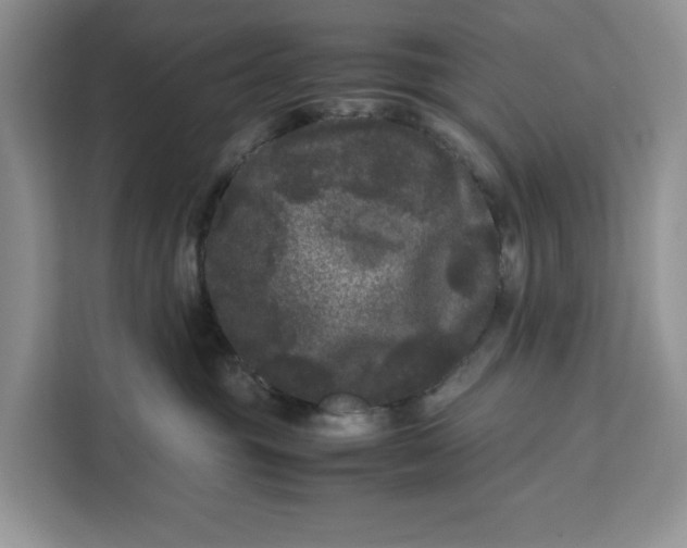 X0000111120381200907141156