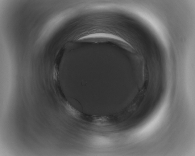 X0000111120382200907141156