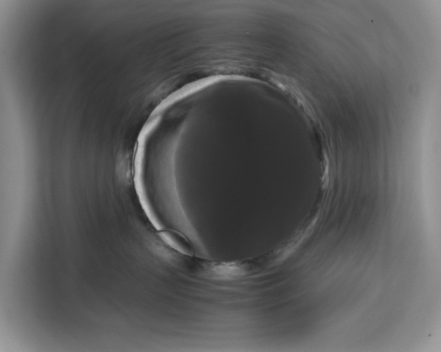 X0000111120383200907141156