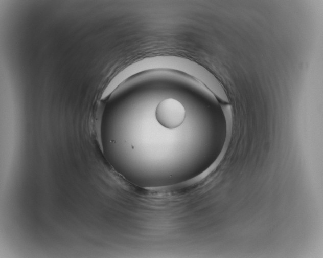 X0000111120384200907141156