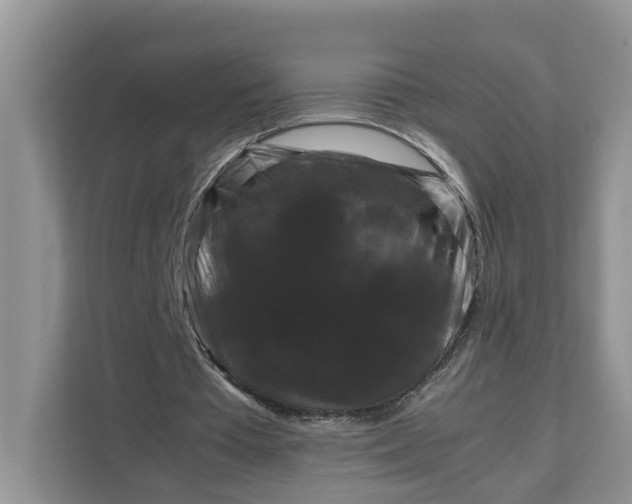 X0000111120385200907141155