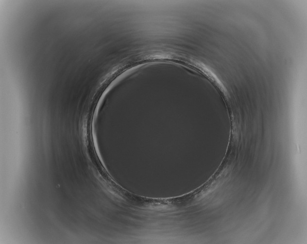 X0000111120386200907141155