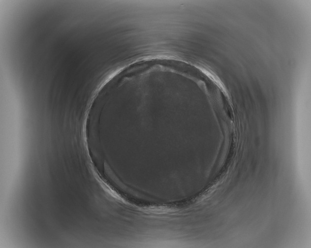 X0000111120389200907141155