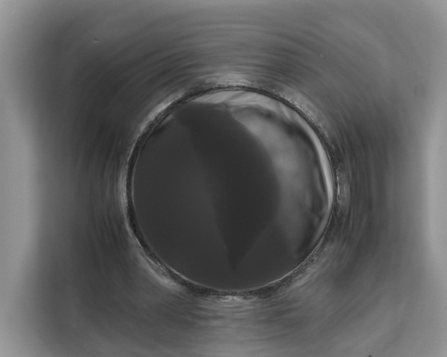 X0000111120390200907141155