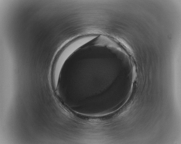 X0000111120391200907141155