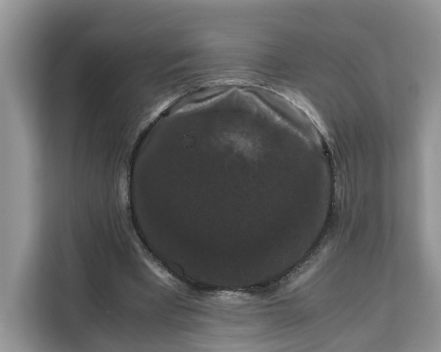 X0000111120393200907141155