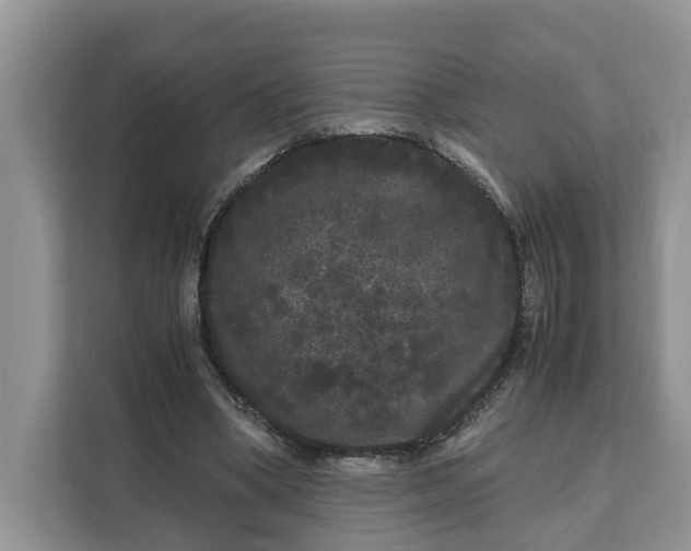 X0000111120394200907141155