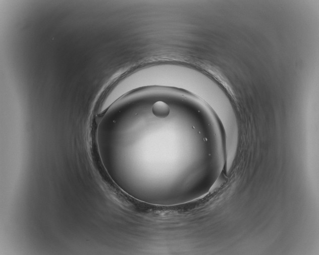 X0000111120395200907141155