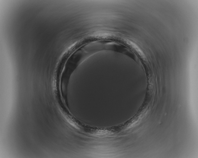 X0000111120399200907141155