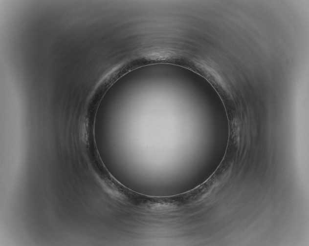 X0000111120400200907141155