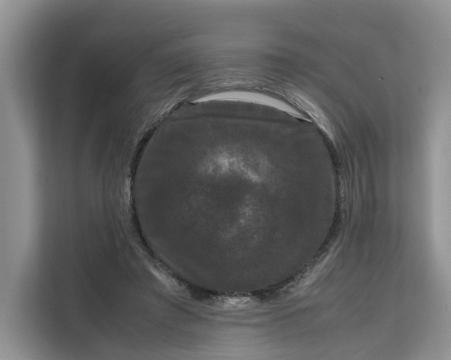 X0000111120401200907141155