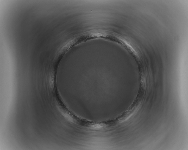 X0000111120402200907141155