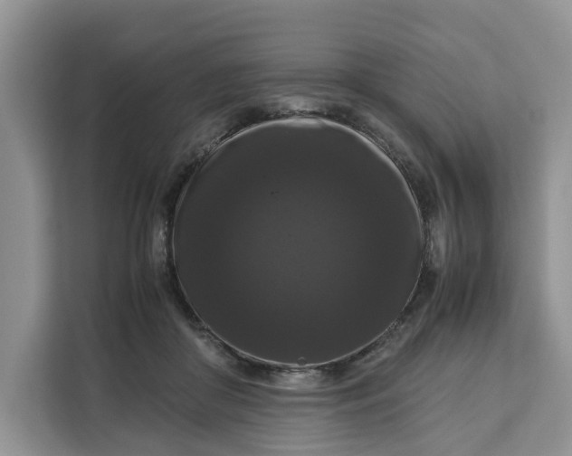 X0000111120410200907141155