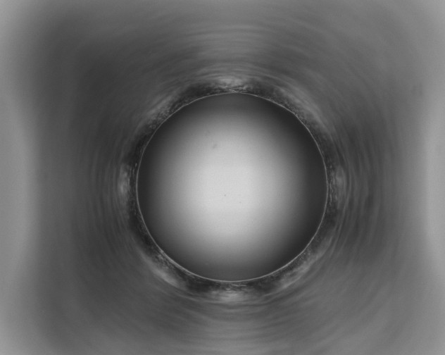 X0000111120412200907141155