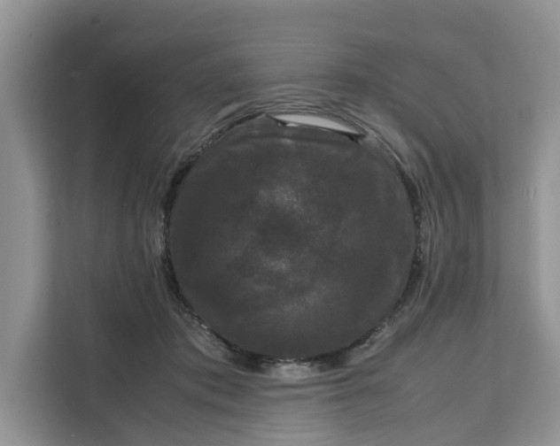 X0000111120413200907141155