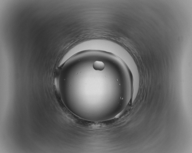 X0000111120415200907141155