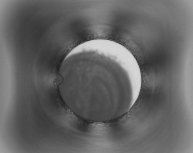 X0000111120419200907141154