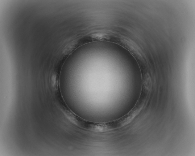 X0000111120420200907141154