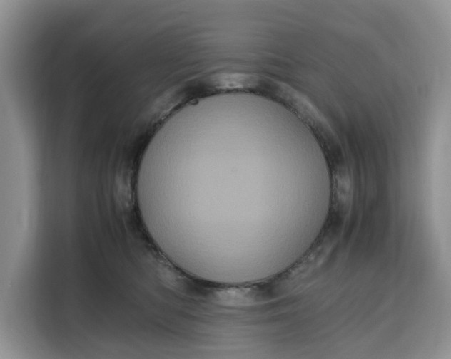 X0000111120422200907141154