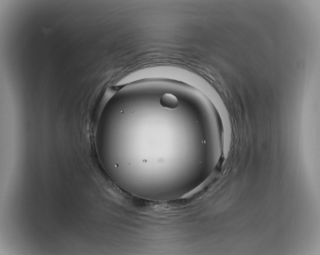 X0000111120423200907141154