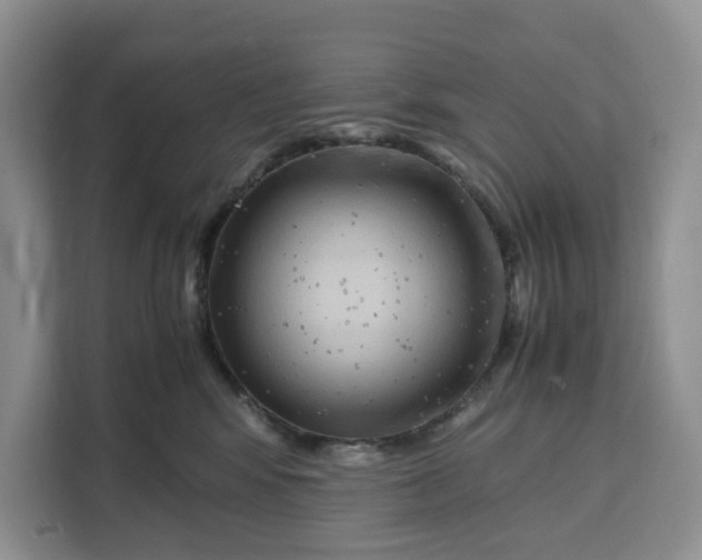 X0000111120424200907141154