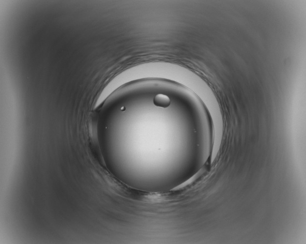 X0000111120425200907141154