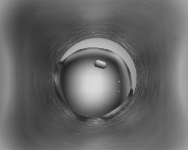 X0000111120427200907141154