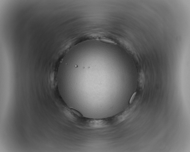 X0000111120428200907141154