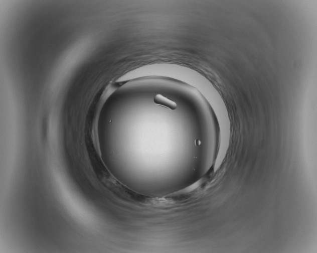 X0000111120429200907141154