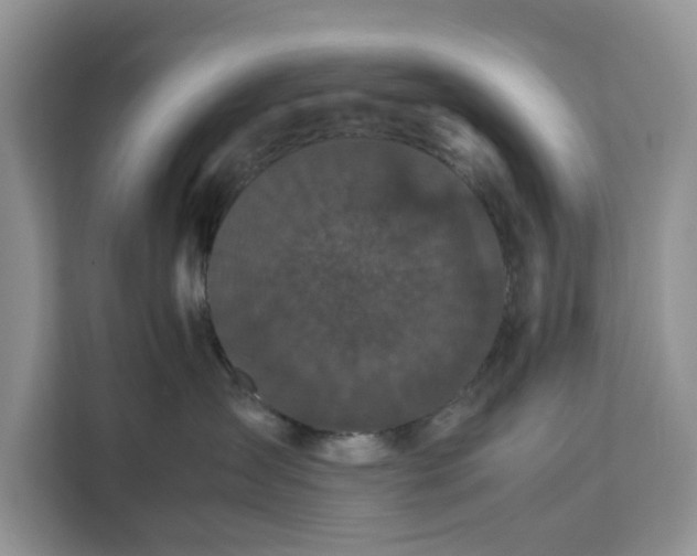 X0000111120431200907141154