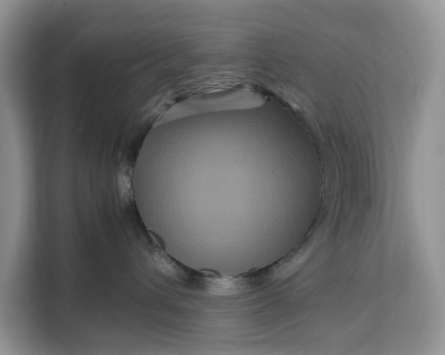 X0000111120432200907141154