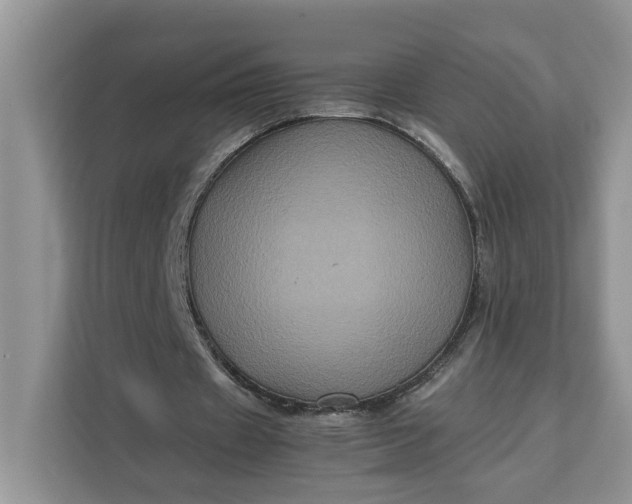 X0000111120433200907141154