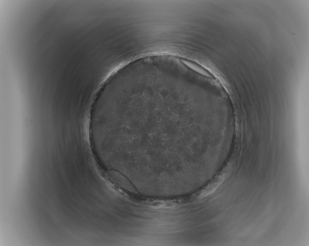 X0000111120434200907141154