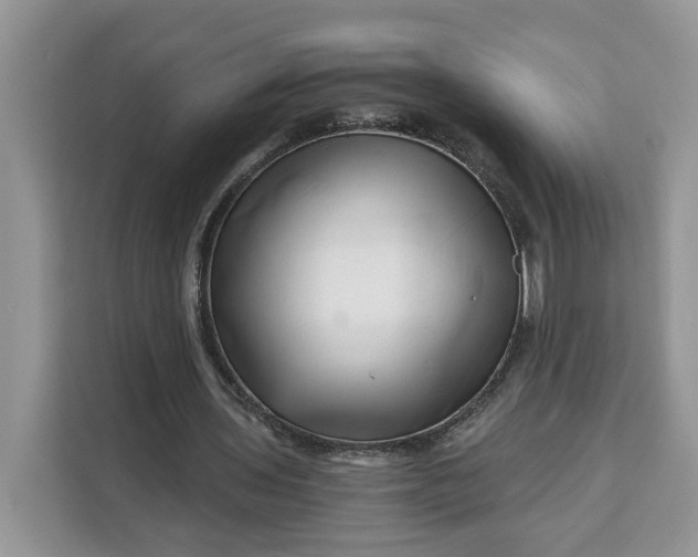 X0000111120435200907141154