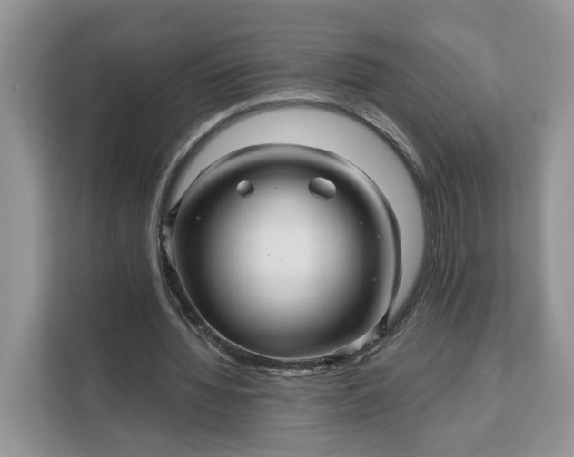 X0000111120436200907141154