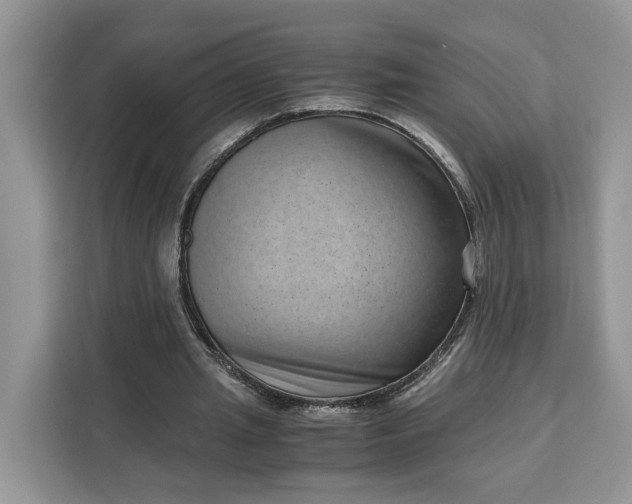 X0000111120437200907141154