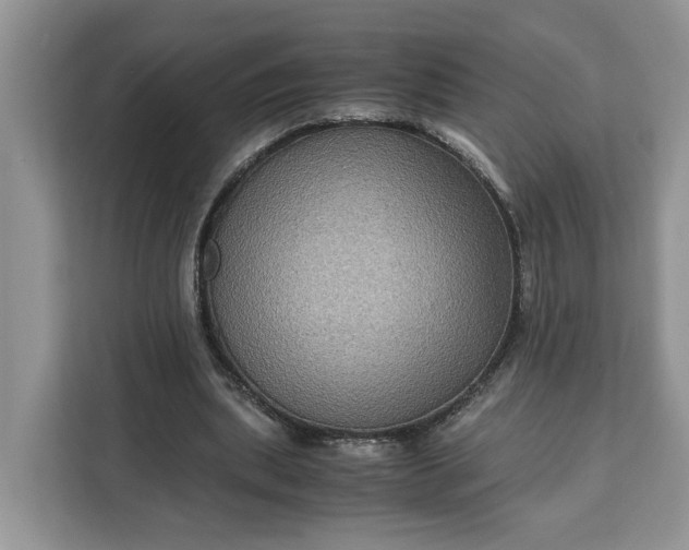 X0000111120439200907141154