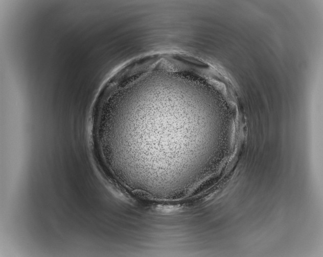 X0000111120440200907141154