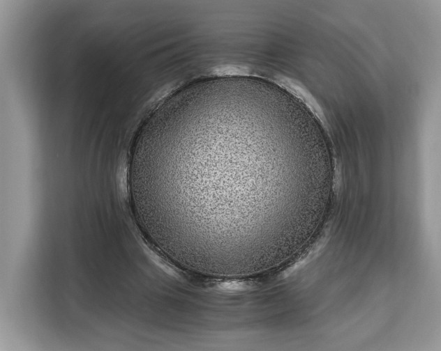 X0000111120441200907141154