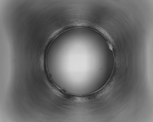 X0000111120442200907141154